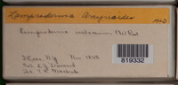 Image Associated With the Occurence